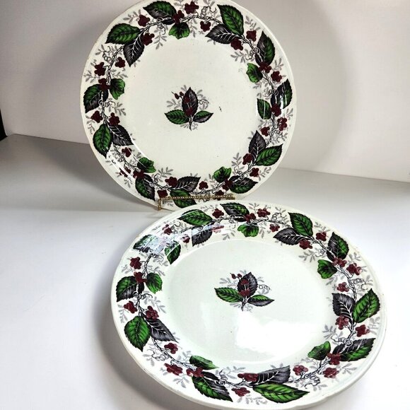 Woodbine Dinner Plates Lot of 2 10 5/8 in. Diameter J. Clementson Antiqu… - Picture 1 of 7